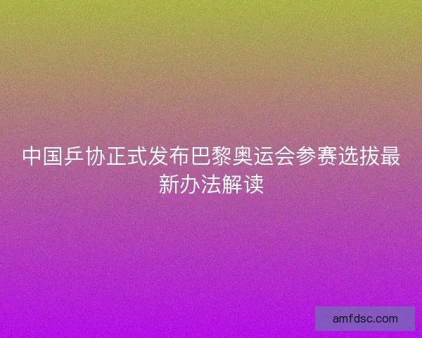 中国乒协正式发布巴黎奥运会参赛选拔最新办法解读