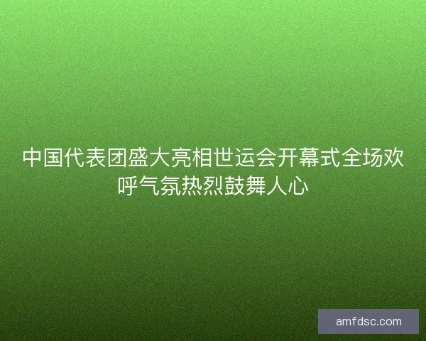 中国代表团盛大亮相世运会开幕式全场欢呼气氛热烈鼓舞人心